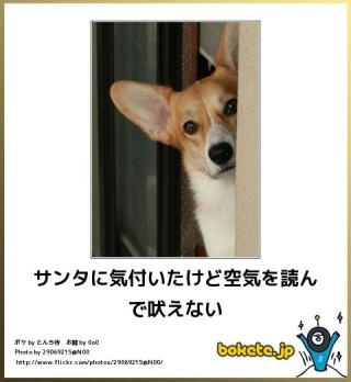 あなたの好きな画像、キャラクターでメリークリスマス！