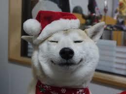 あなたの好きな画像、キャラクターでメリークリスマス！