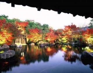 地元の穴場