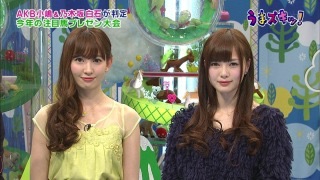 【イメージ】どっちが格上？【プラマイ】