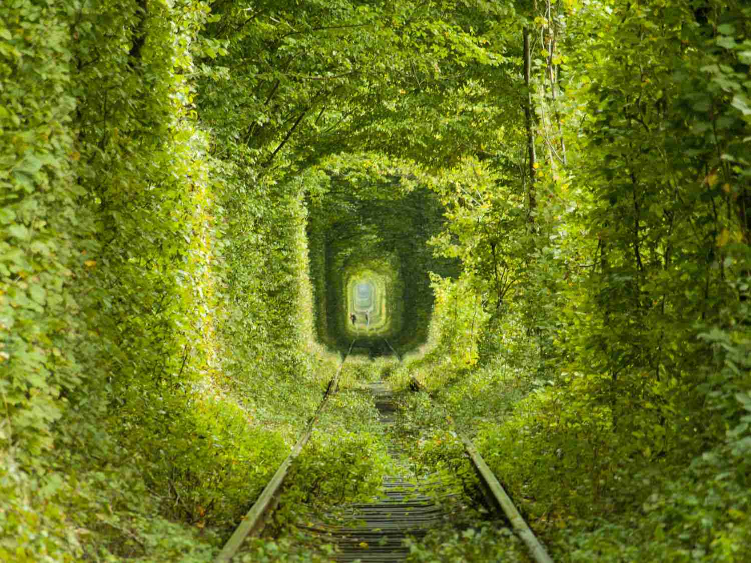 見に行きたくなる美しい写真！