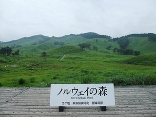 見に行きたくなる美しい写真！