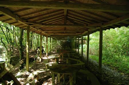 鹿児島県あるある