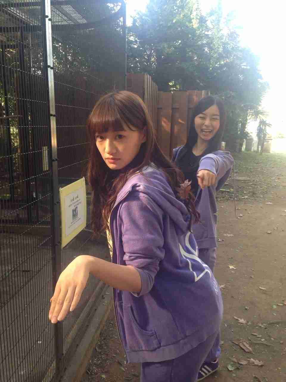 乃木坂46好きな人！