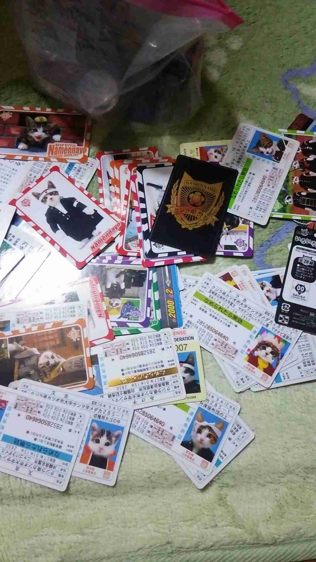 最近撮った写真を載せるトピ
