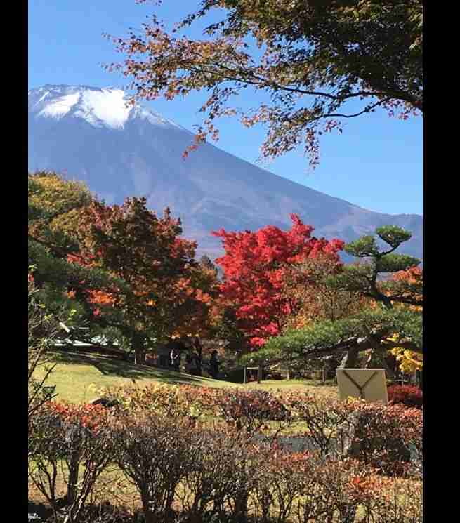 最近撮った写真を載せるトピ
