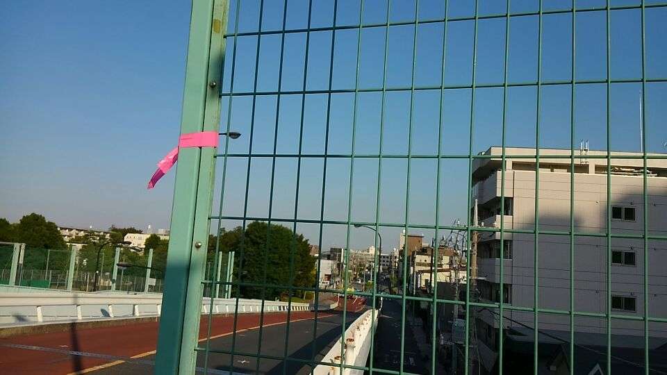 最近撮った写真を載せるトピ