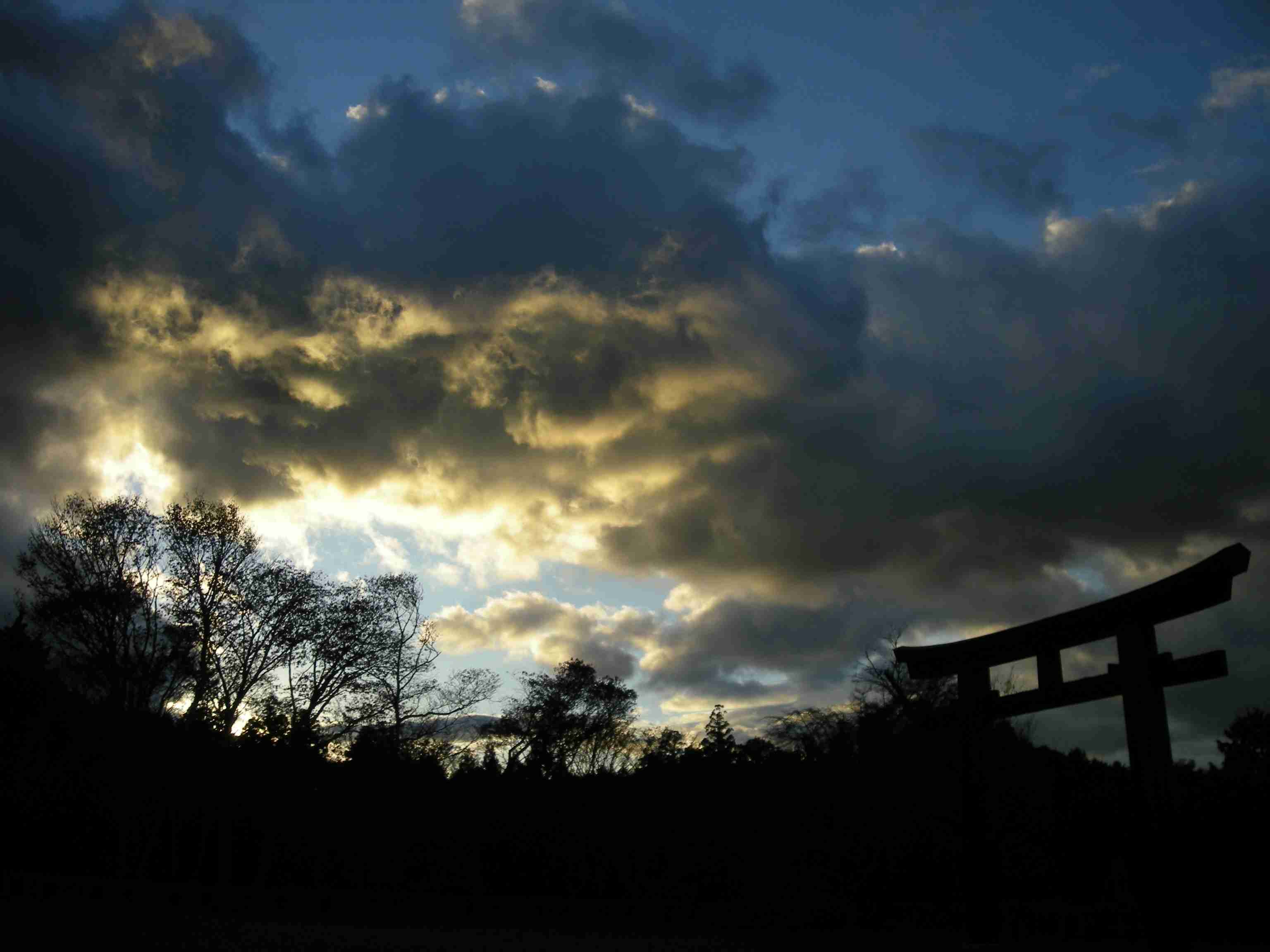 最近撮った写真を載せるトピ
