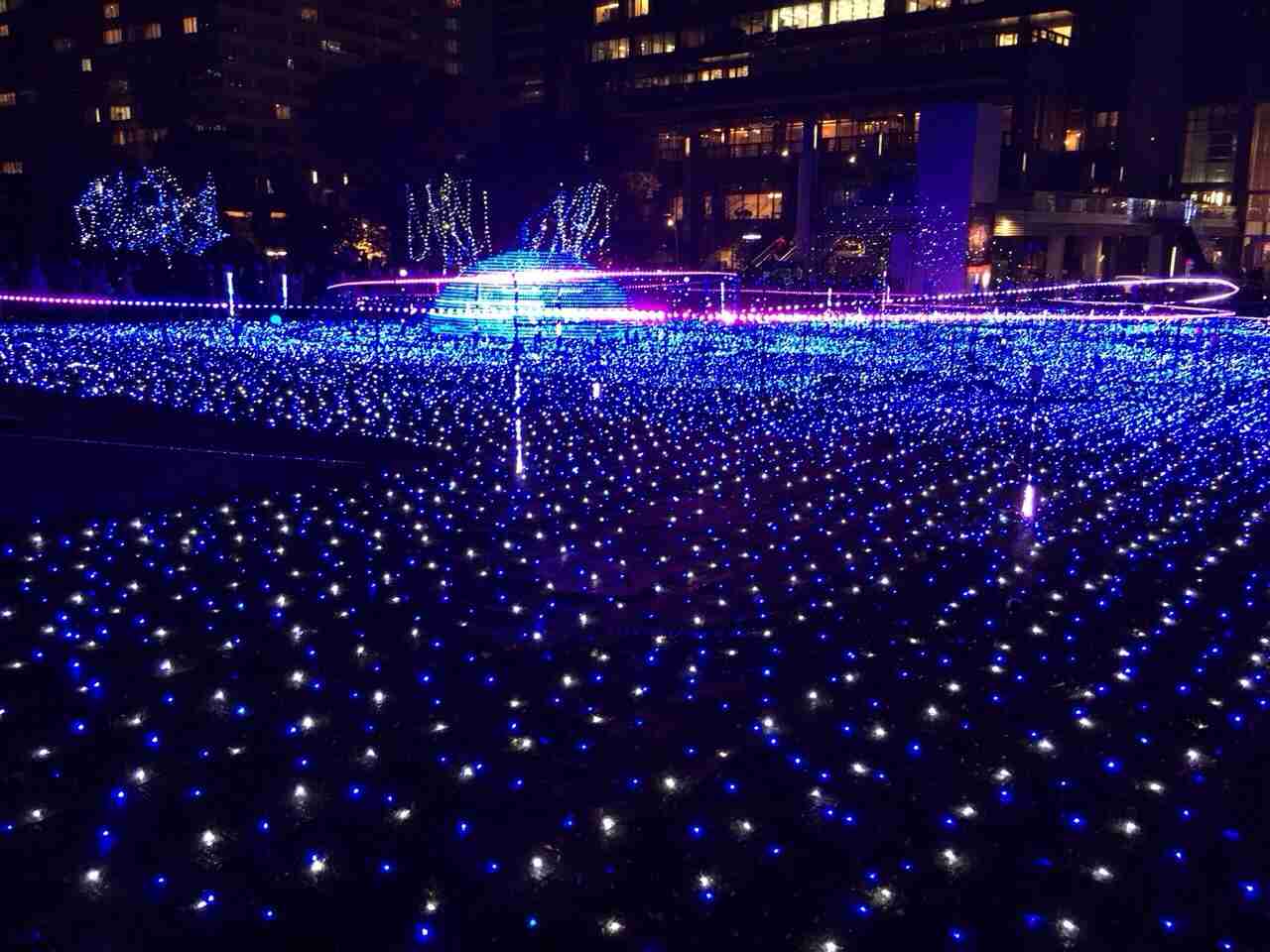 最近撮った写真を載せるトピ