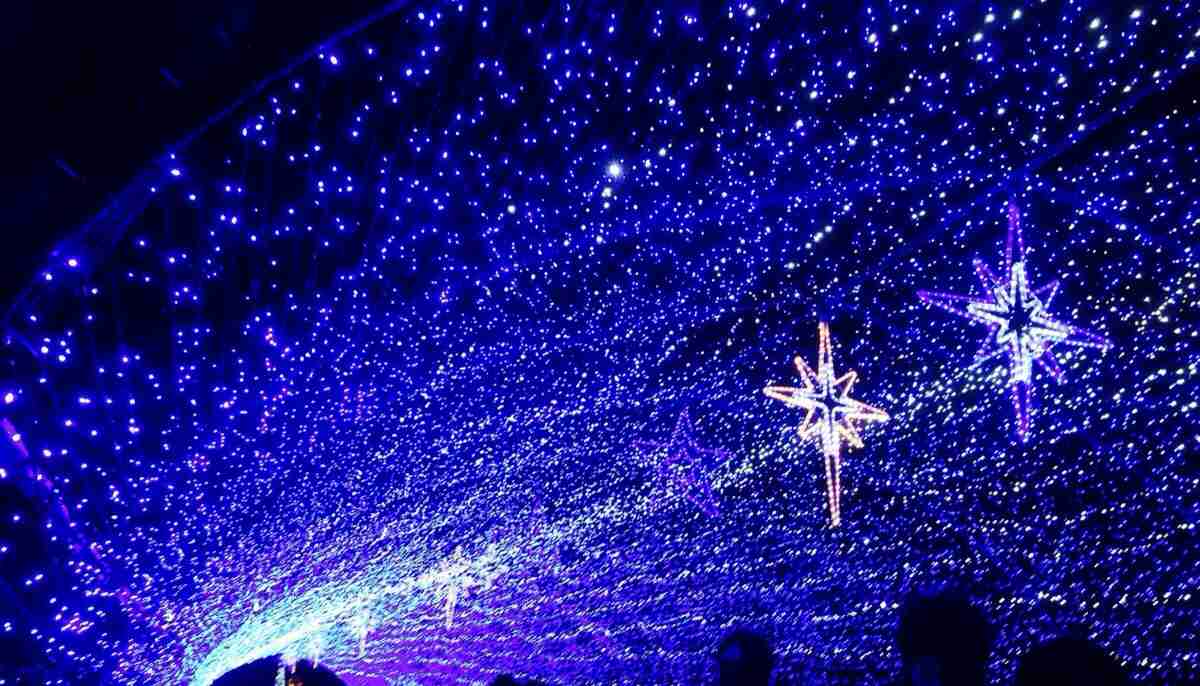 最近撮った写真を載せるトピ