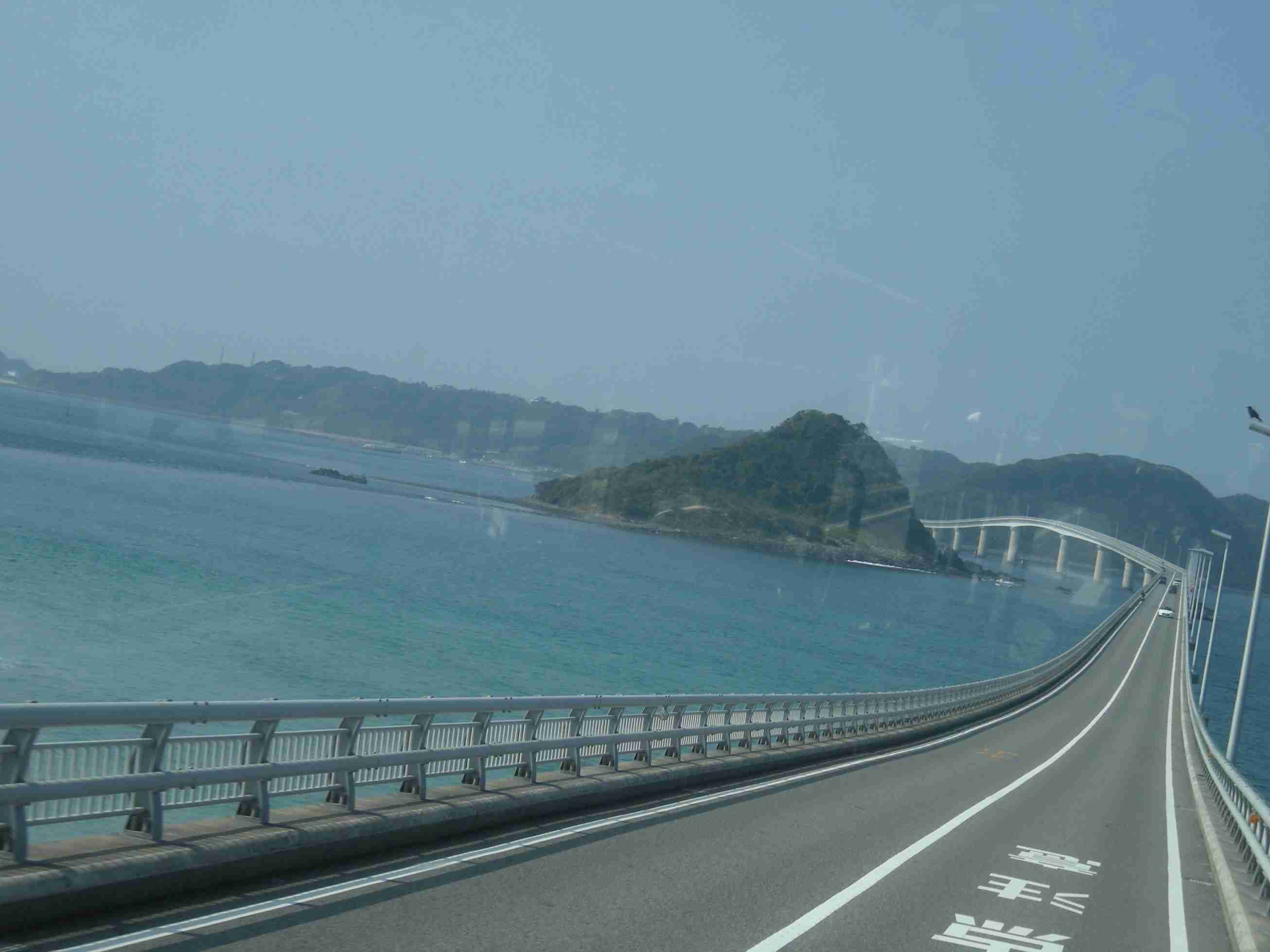 最近撮った写真を載せるトピ