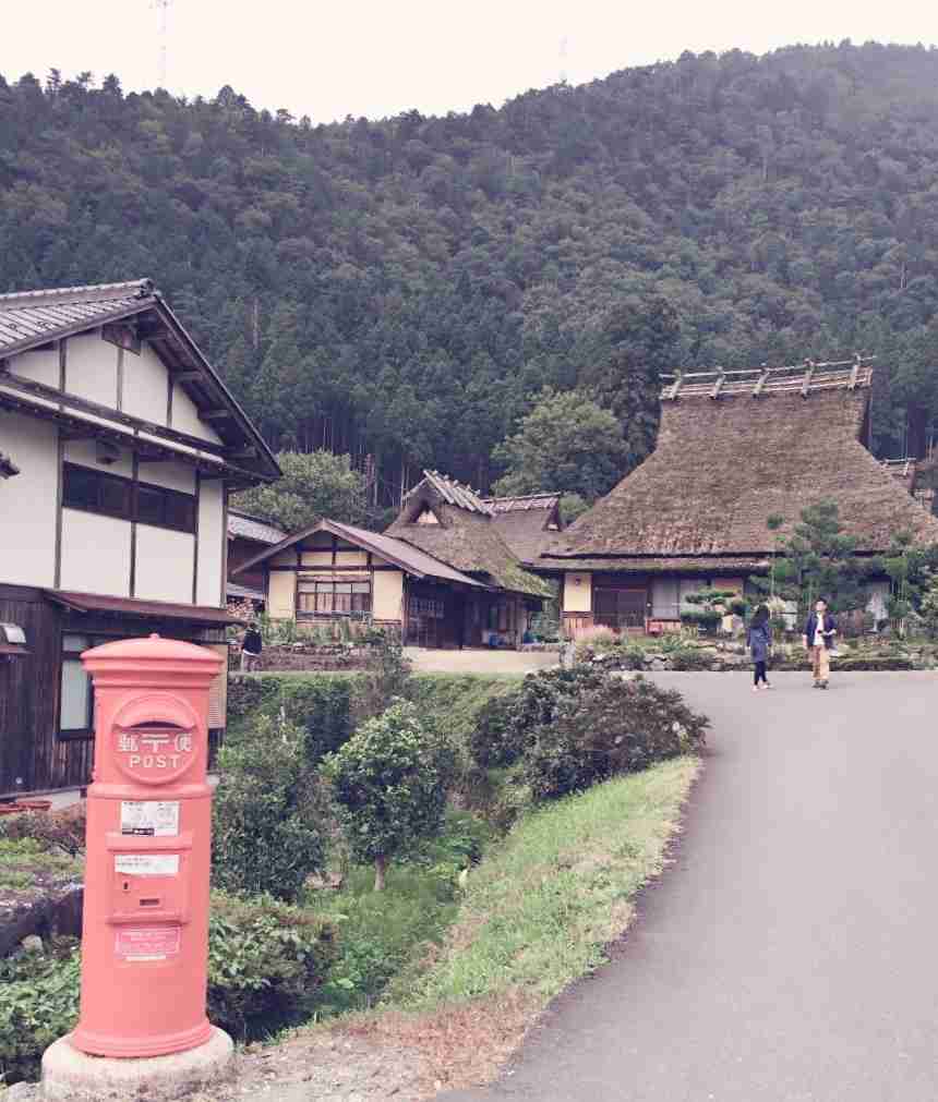 最近撮った写真を載せるトピ
