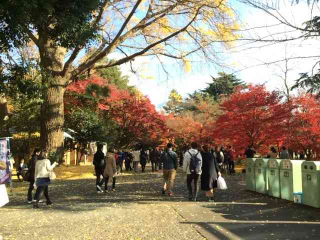 最近撮った写真を載せるトピ