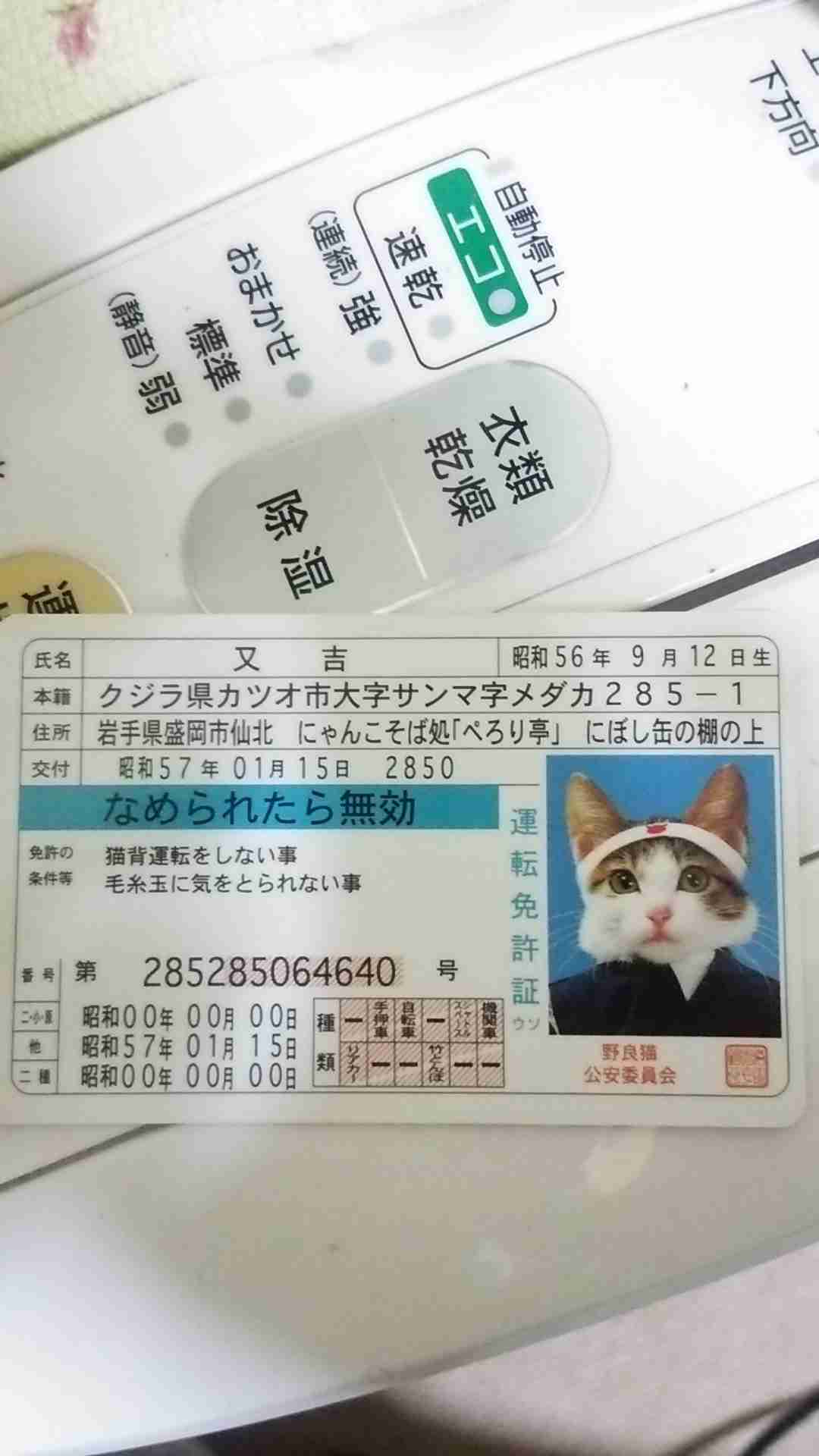 最近撮った写真を載せるトピ
