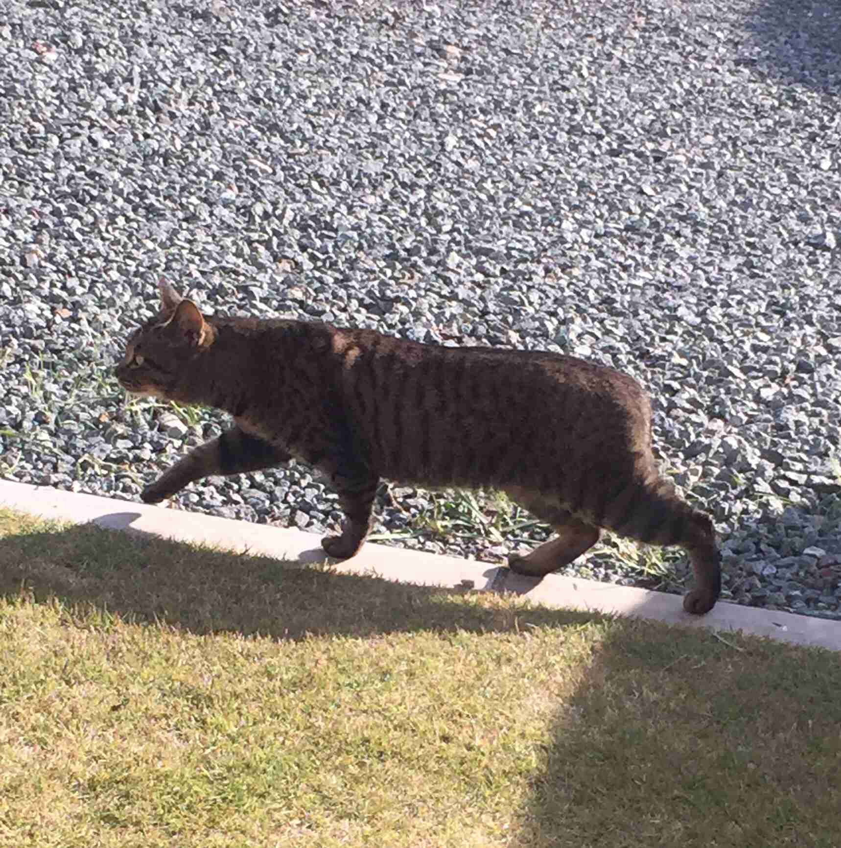 最近撮った写真を載せるトピ