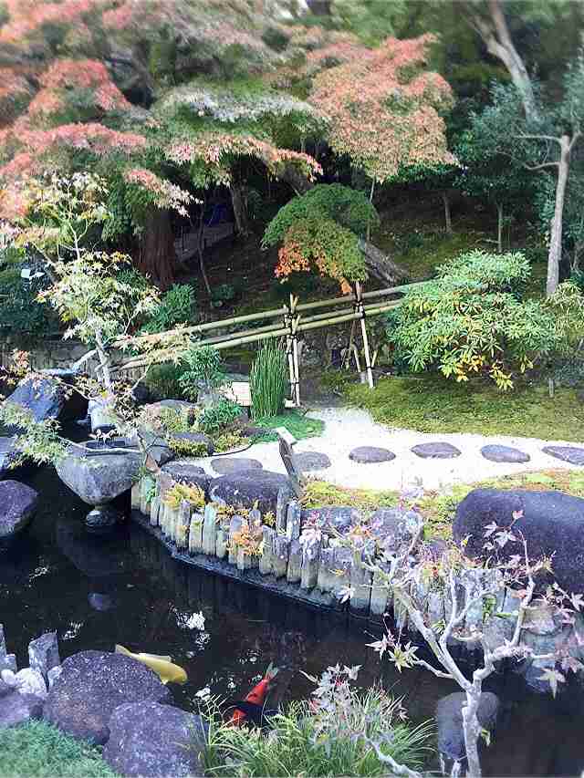 最近撮った写真を載せるトピ