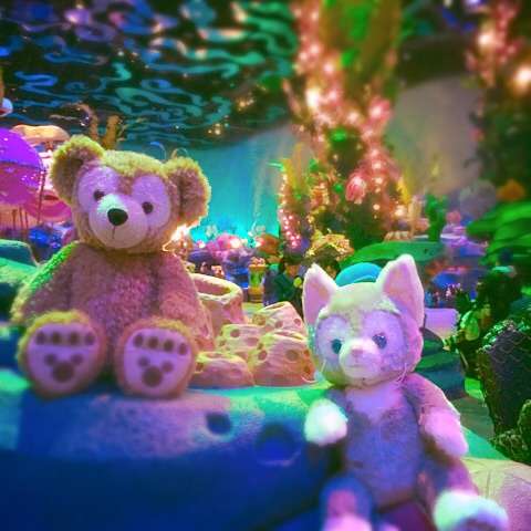最近撮った写真を載せるトピ