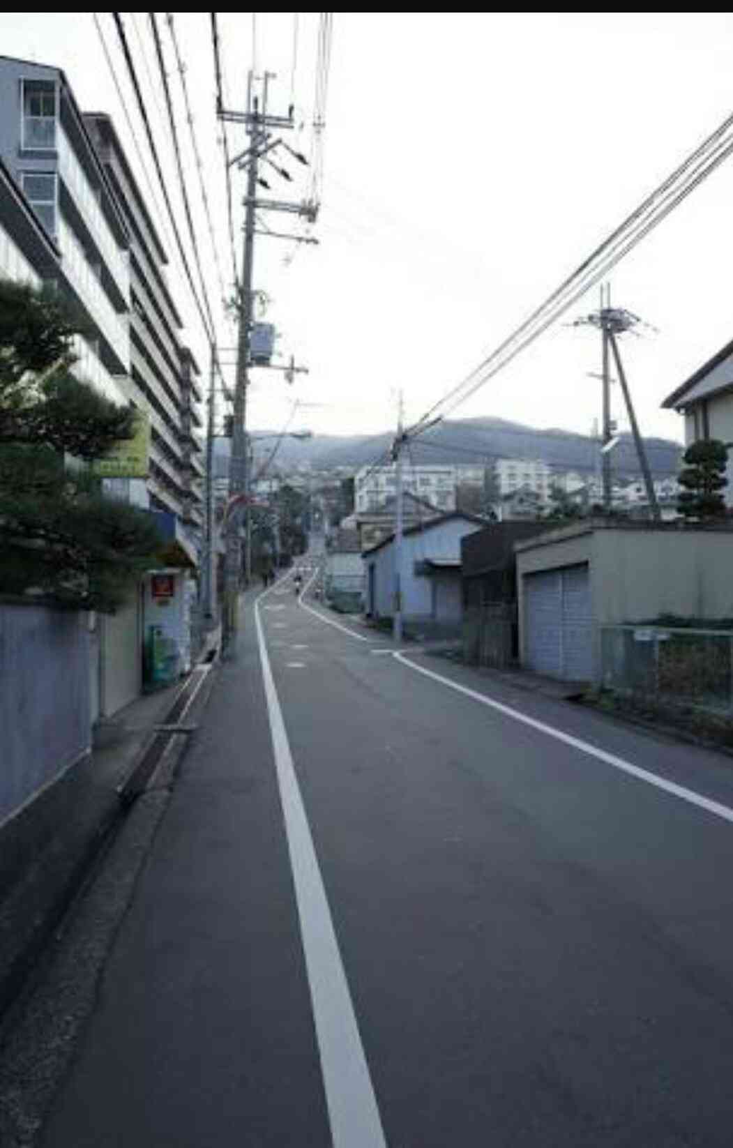 電動自転車