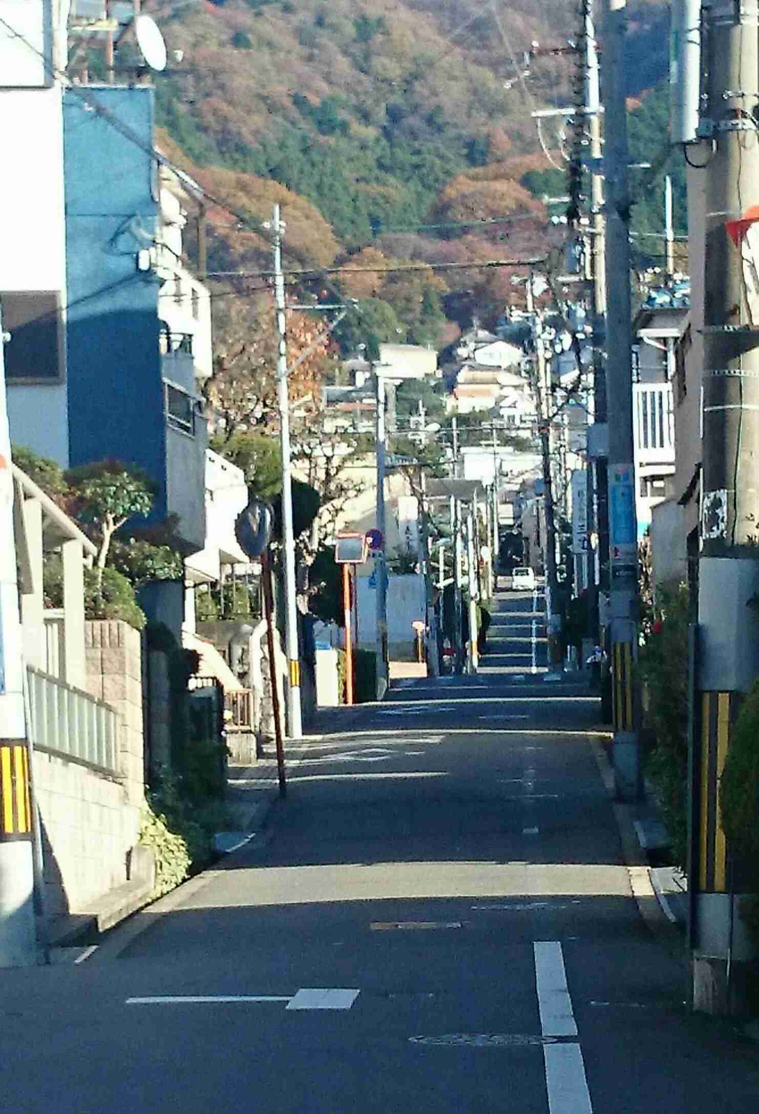 電動自転車