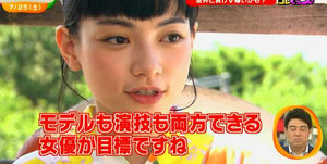 アジア圏の芸能人が好きな人