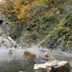 長野県あるある