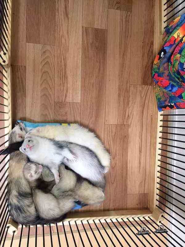 動物好きさん集まれ～
