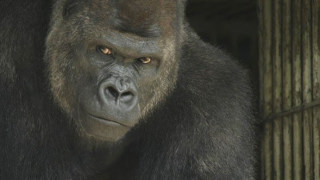 水原希子“天然ドジっ子”で新境地　香取慎吾主演『家族ノカタチ（仮）』