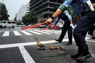貼られた画像を、貼り主以外が説明しよう