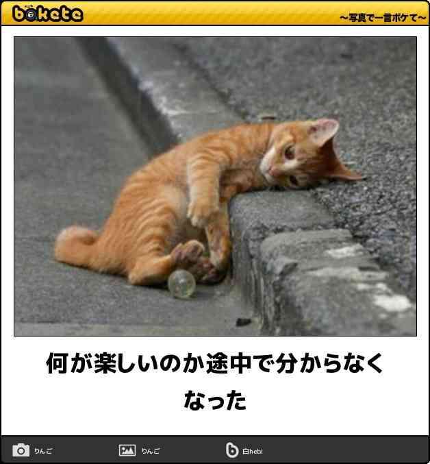 貼られた画像を、貼り主以外が説明しよう