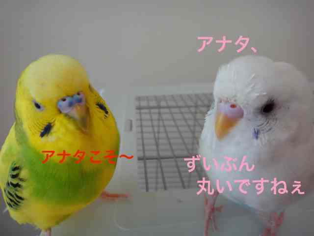 見方を変える方法
