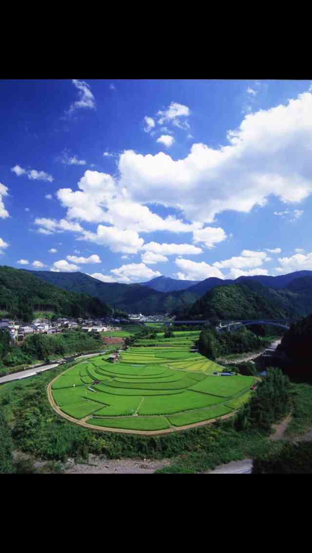和歌山県あるある