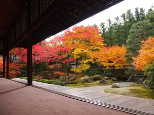 美しいものの画像を貼るトピ