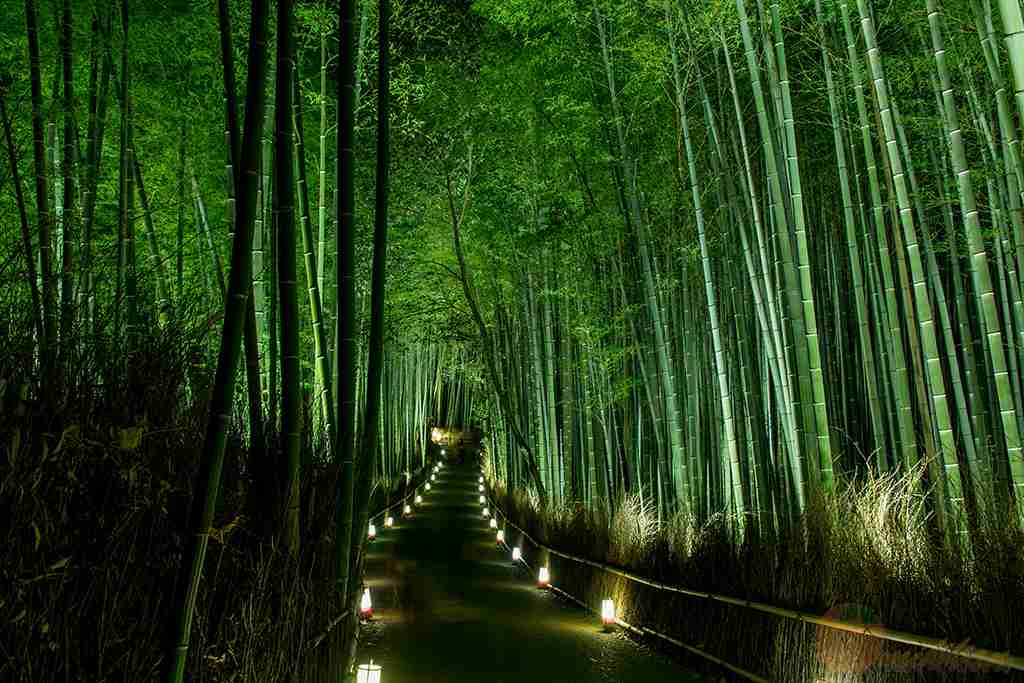 緑色の素敵な画像を貼るトピ