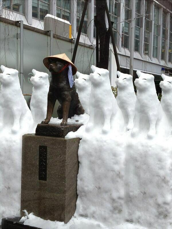 ちょっと珍しい画像トピ