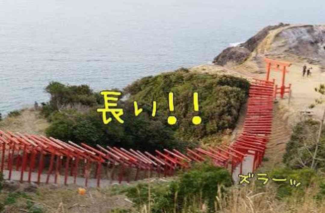 ちょっと珍しい画像トピ