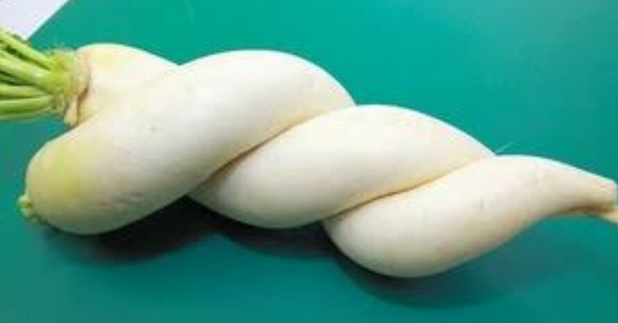 ちょっと珍しい画像トピ