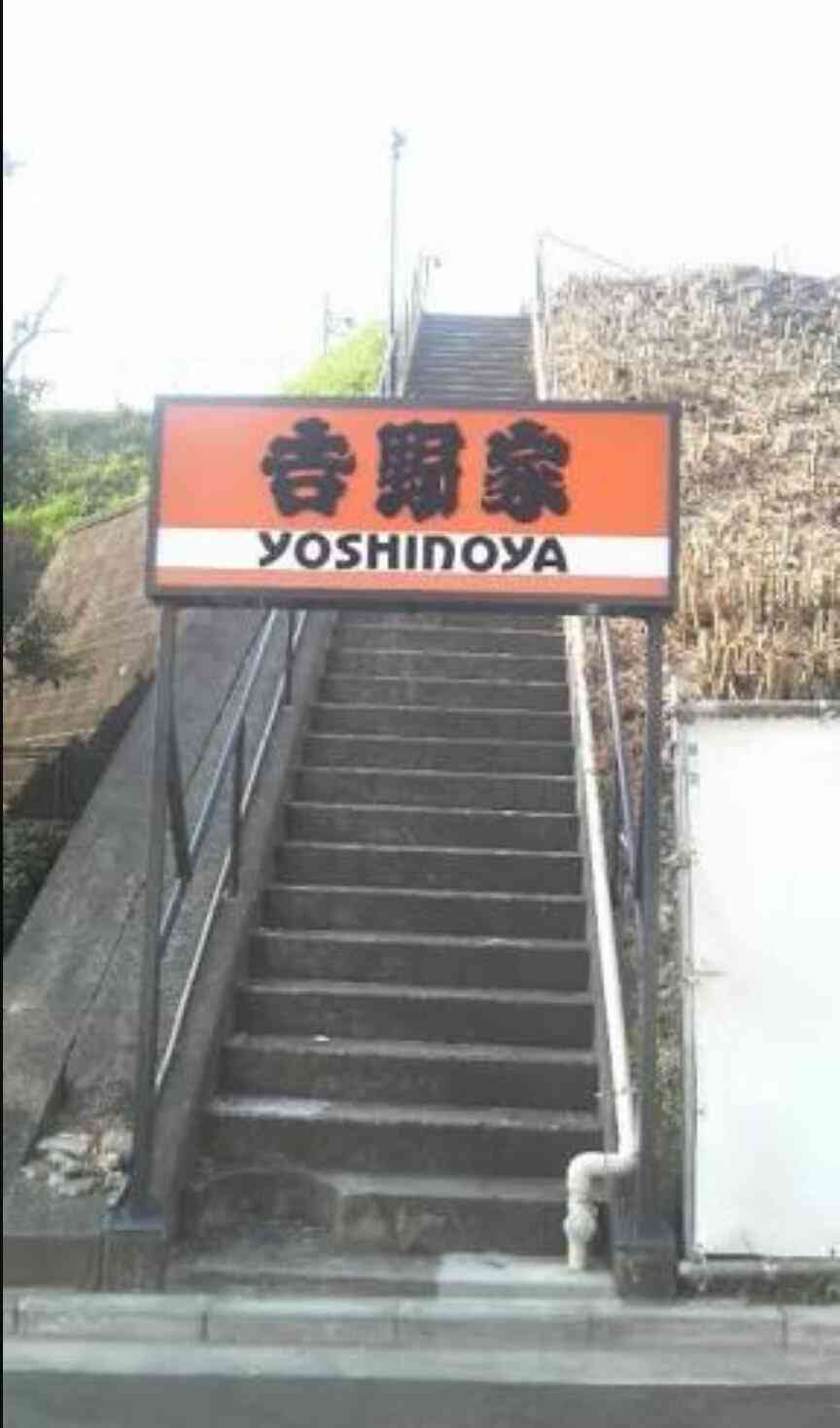 ちょっと珍しい画像トピ