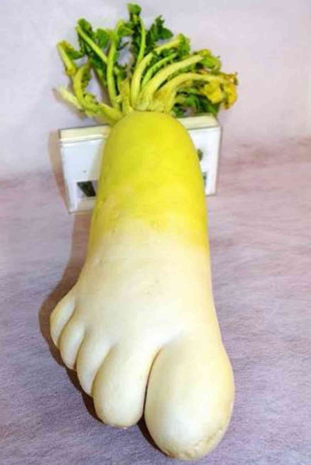 ちょっと珍しい画像トピ
