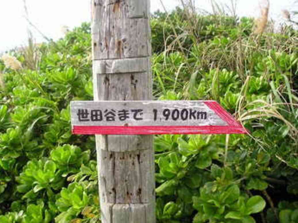 ちょっと珍しい画像トピ