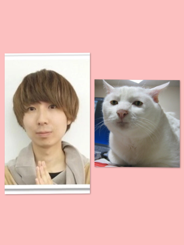 ベッキー、朝の生番組出演!何事もなかったかのように進む。ゲス川谷絵音とはすでに決別報道