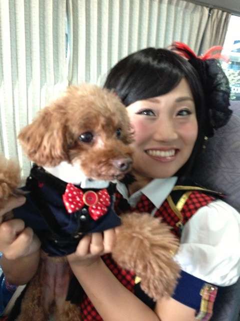 キンタロー。結婚会見「ハッピーウエディング、フライングゲット」