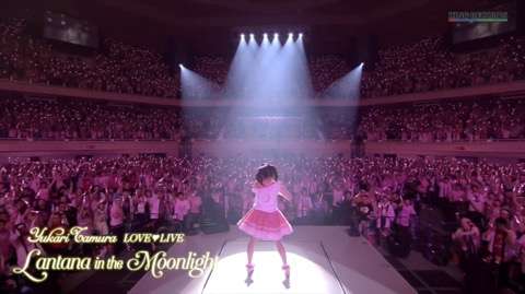好きなアーティストのLIVE中の画像を貼るトピ