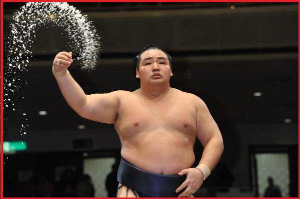 【大相撲・初場所】あなたの今年の注目は誰ですか？