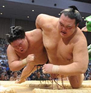 【大相撲・初場所】あなたの今年の注目は誰ですか？