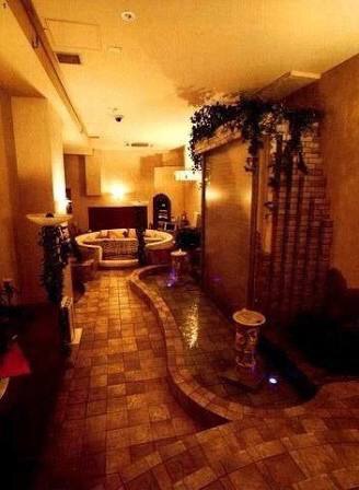 芸能人の自宅公開