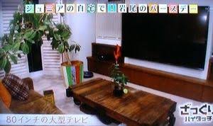 芸能人の自宅公開