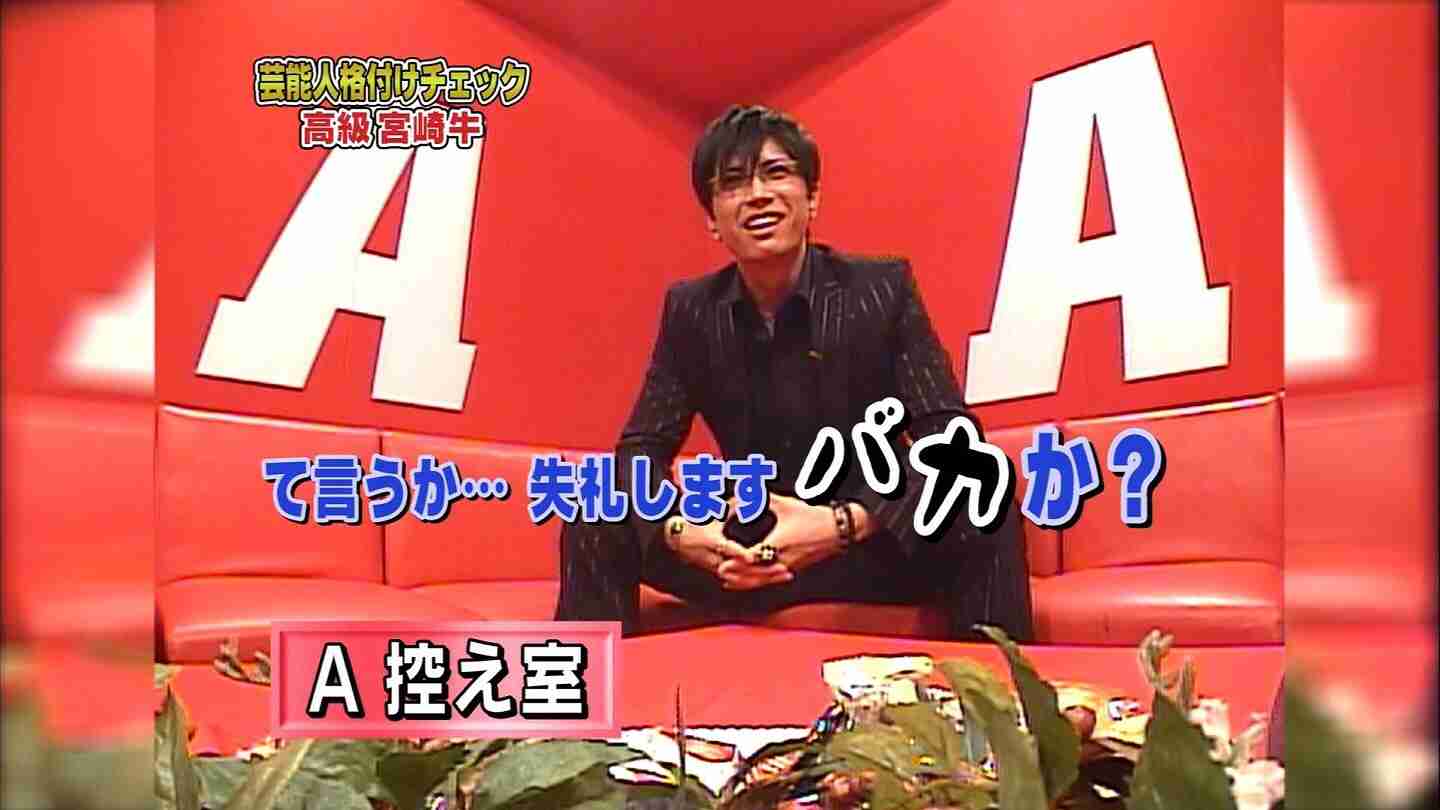 芸能人の自宅公開