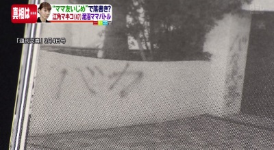 芸能人の自宅公開