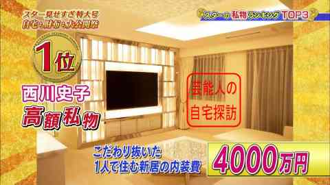 芸能人の自宅公開