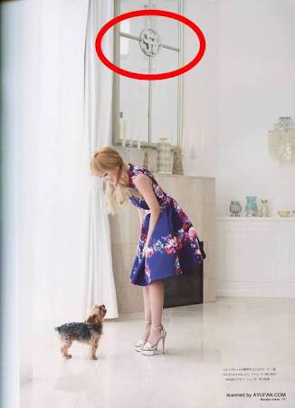 芸能人の自宅公開